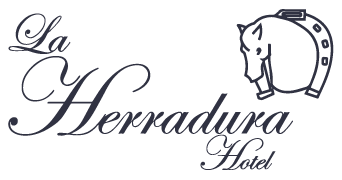 Logo Hotel La Herradura Tecozautla